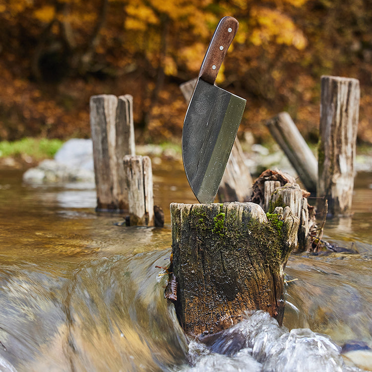 Almazan Kitchen Serbian Chef Knife lodged in a tree trunk in the middle of a creek.