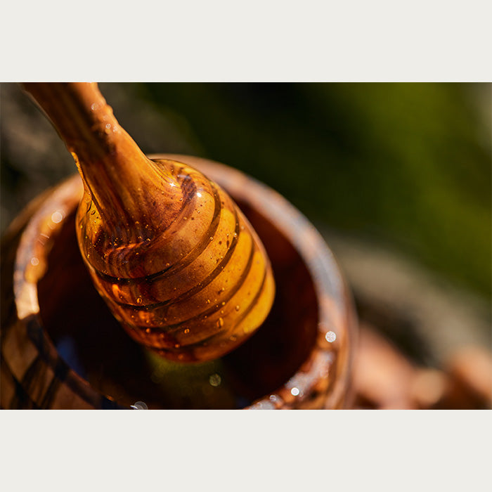 Close up of a honey dipper drizling with honey on top of a wooden jar, with a grassy background out of focus.