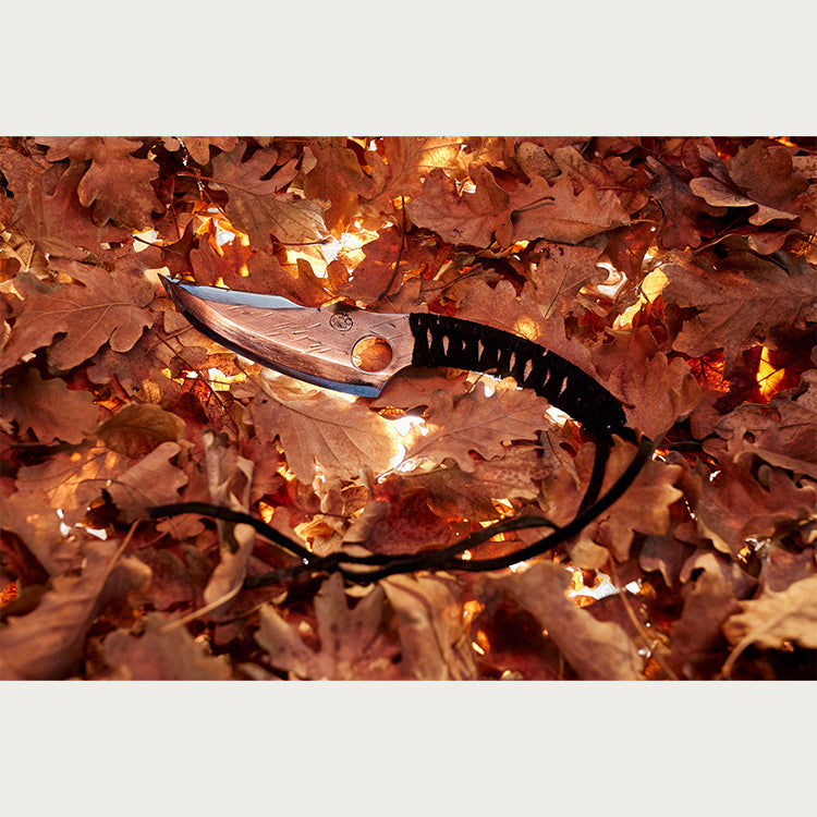 Almazan Kitchen Predator Knife on a bed of autumn leaves. 