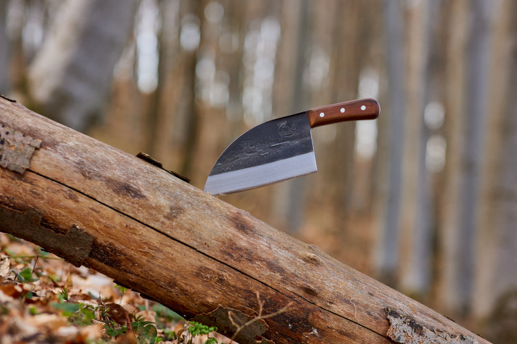 Almazan Kitchen Serbian Chef Knife lodged into a tree trunk in a forest.